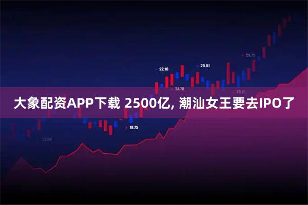 大象配资APP下载 2500亿, 潮汕女王要去IPO了