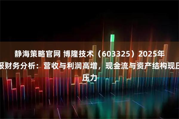 静海策略官网 博隆技术（603325）2025年中报财务分析：营收与利润高增，现金流与资产结构现压力