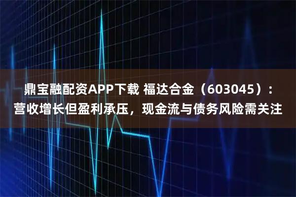 鼎宝融配资APP下载 福达合金（603045）：营收增长但盈利承压，现金流与债务风险需关注